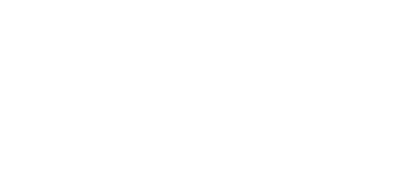 US Critical Metals Logo